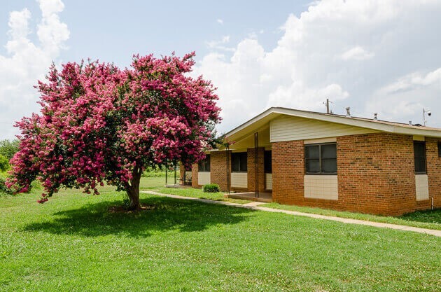West Ridge exterior with flowering tree